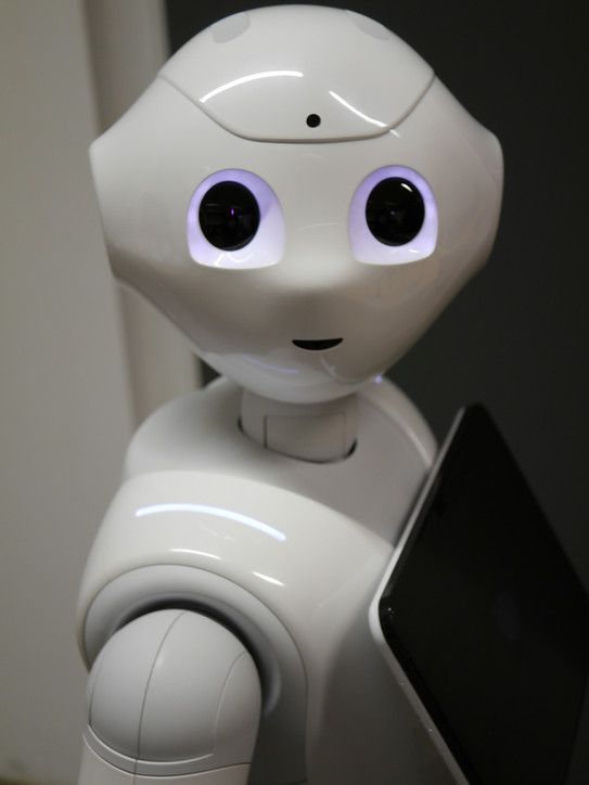 Foto des humanoiden Sozialroboters Pepper